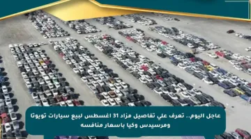 عاجل اليوم.. تعرف على تفاصيل مزاد 31 أغسطس لبيع سيارات تويوتا ومرسيدس وكيا بأسعار منافسة
